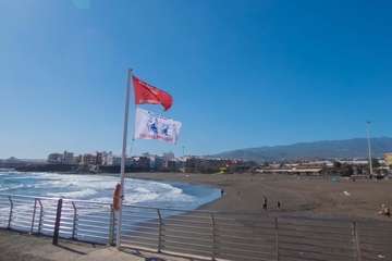 La playa de Melenara se llena de medusas (Foto Antonio Rico)